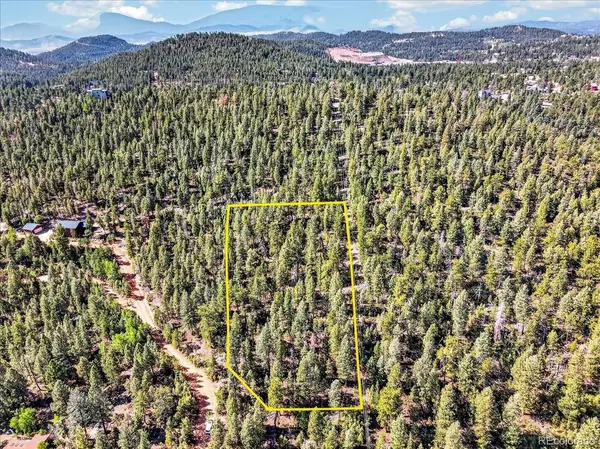 12907 S Cindy AVE, Pine, CO 80470