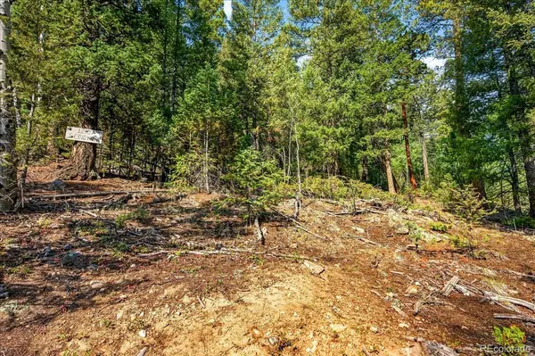 12907 S Cindy AVE, Pine, CO 80470