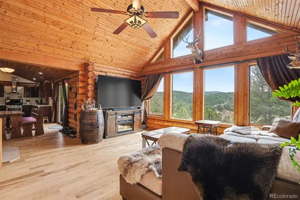 220 Rocky Mountain VW, Divide, CO 80814