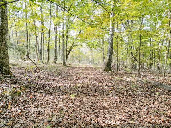 0 Luke Moser Rd, Columbia, TN 38401