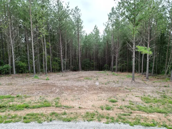 297 Ashwood Dr, Linden, TN 37096