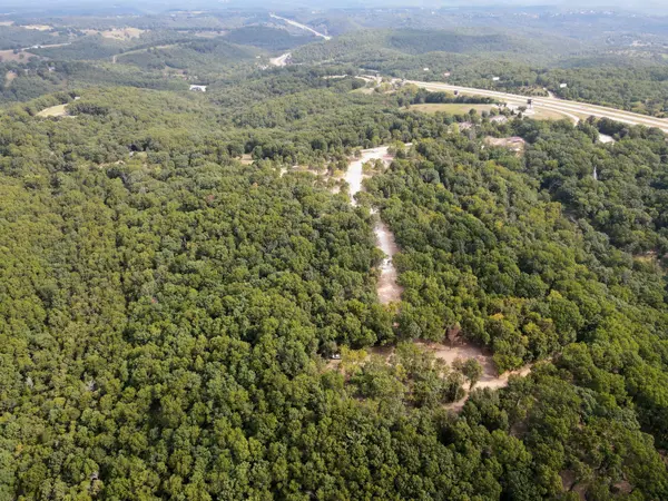 Lot 1 Whispering Windings Court, Walnut Shade, MO 65771