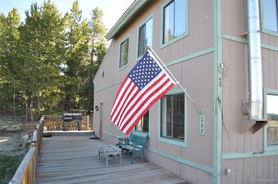 237 Foxtail CT, Fairplay, CO 80440