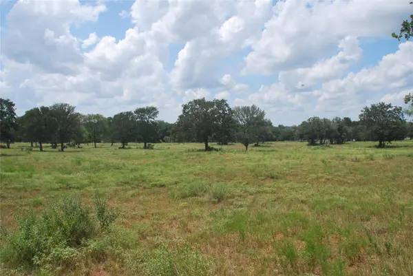 TBD Lot 24 N State Highway 95, Flatonia, TX 78941