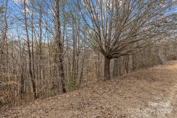 Lot 102 Glenhaven DR, Marion, NC 28752
