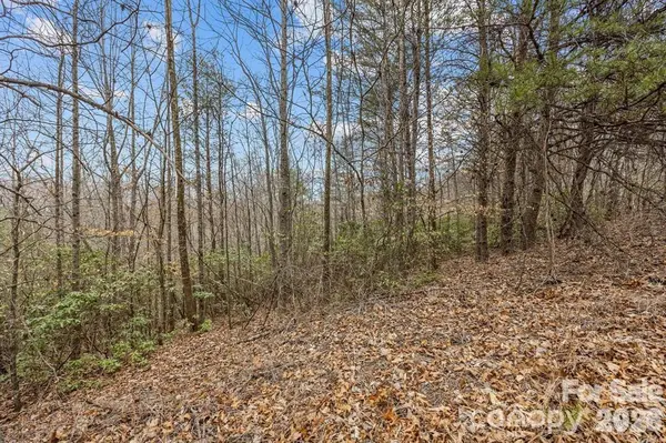 Lot 106 Glenhaven DR, Marion, NC 28752