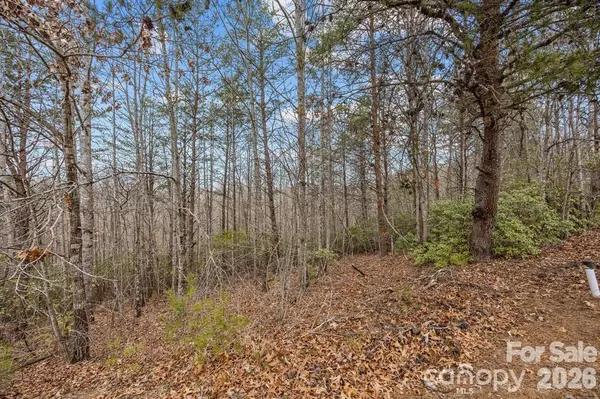 Lot 107 Glenhaven DR, Marion, NC 28752
