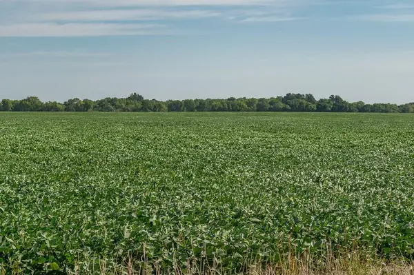 00000 Nebraska N/A, Iola, KS 66749