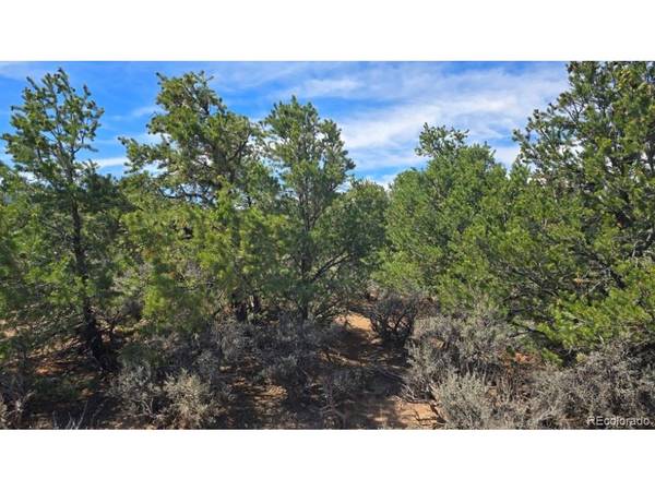 1862 Wilking, Fort Garland, CO 81133