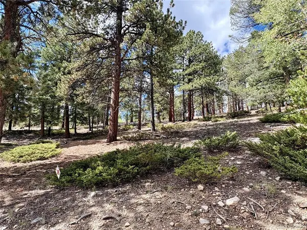 30317 Aspen Turn, Buena Vista, CO 81211