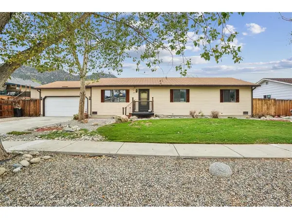 105 Surrey, Buena Vista, CO 81211