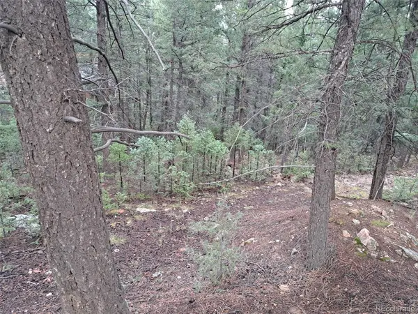 360 Hi Meadow, Bailey, CO 80421