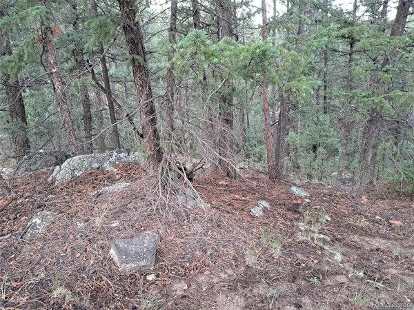 360 Hi Meadow, Bailey, CO 80421