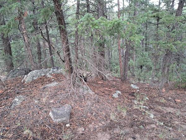 360 Hi Meadow, Bailey, CO 80421