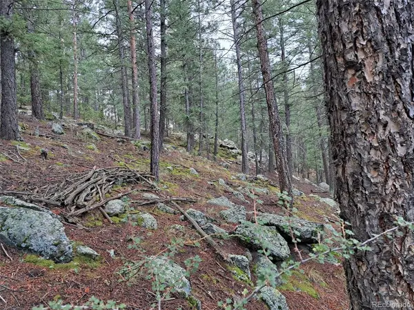 360 Hi Meadow, Bailey, CO 80421