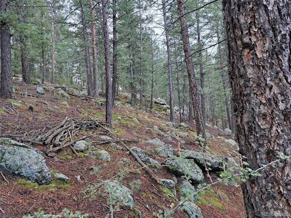 360 Hi Meadow, Bailey, CO 80421