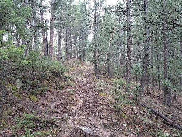 360 Hi Meadow, Bailey, CO 80421