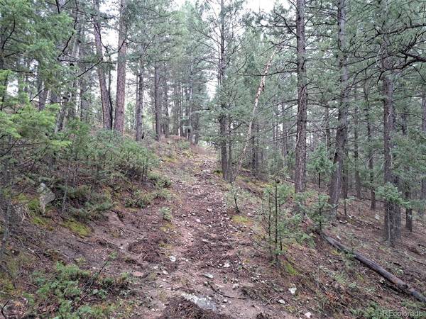 360 Hi Meadow, Bailey, CO 80421