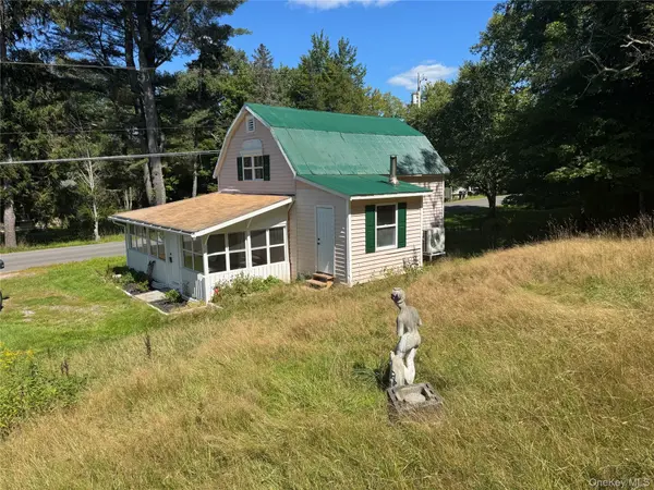31 Willowemoc RD, Livingston Manor, NY 12758