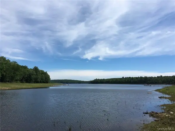 47 Sunrise PT, White Lake, NY 12786