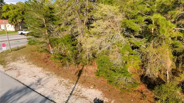 4380 AZORA RD, Spring Hill, FL 34608