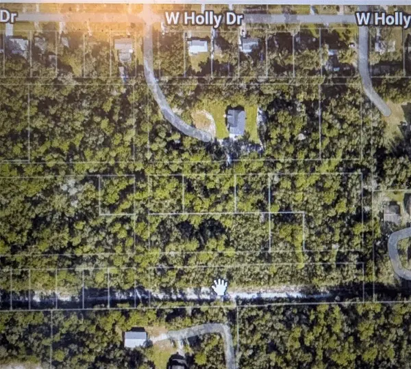 NELSON AVE, Orange City, FL 32763