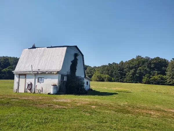 7020 Buncombe RD, Buncombe, IL 62912