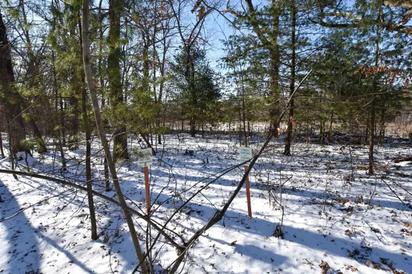 17TH DR, Wautoma, WI 54982-0000