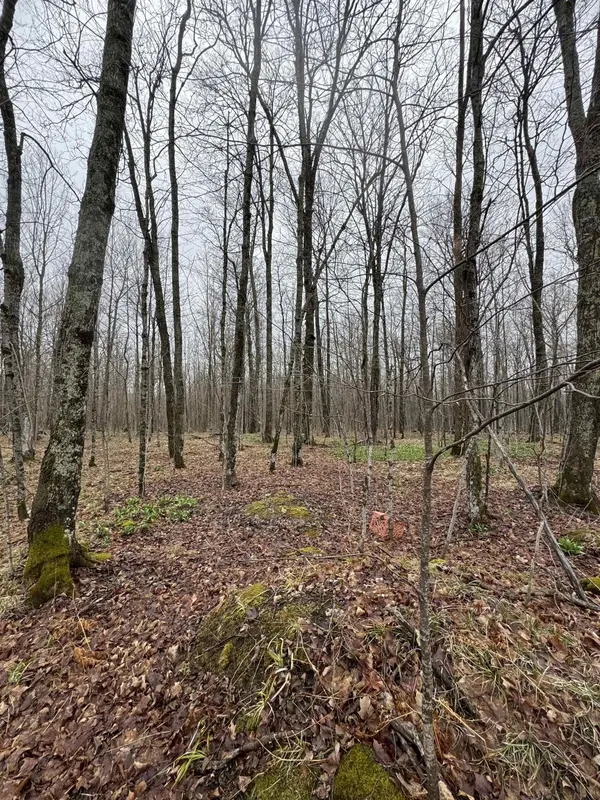 24940 SKYPALA RD, Glidden, WI 54527