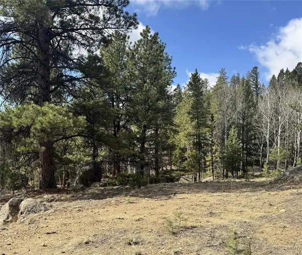 30317 Aspen Turn, Buena Vista, CO 81211
