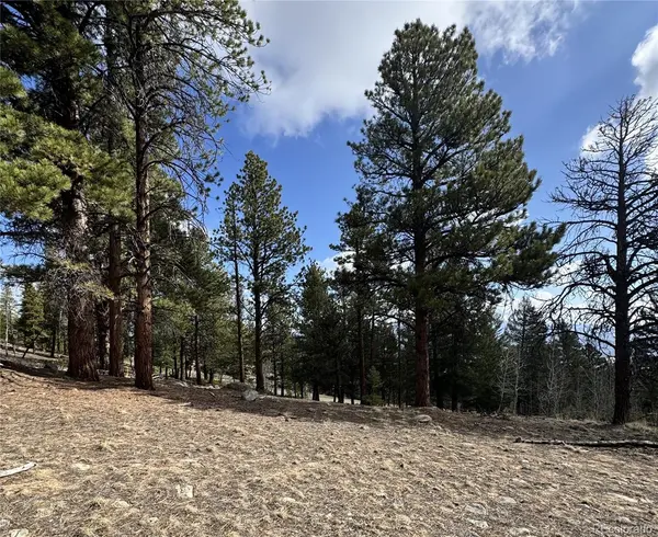 30317 Aspen Turn, Buena Vista, CO 81211