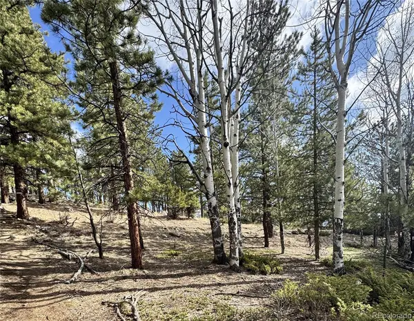 30317 Aspen Turn, Buena Vista, CO 81211