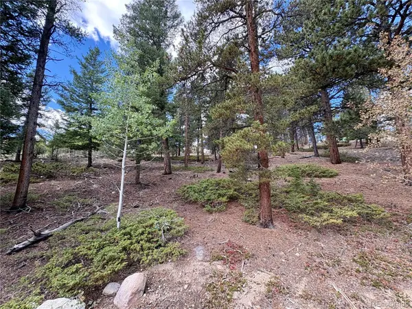 30317 Aspen Turn, Buena Vista, CO 81211