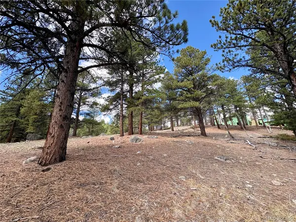 30317 Aspen Turn, Buena Vista, CO 81211