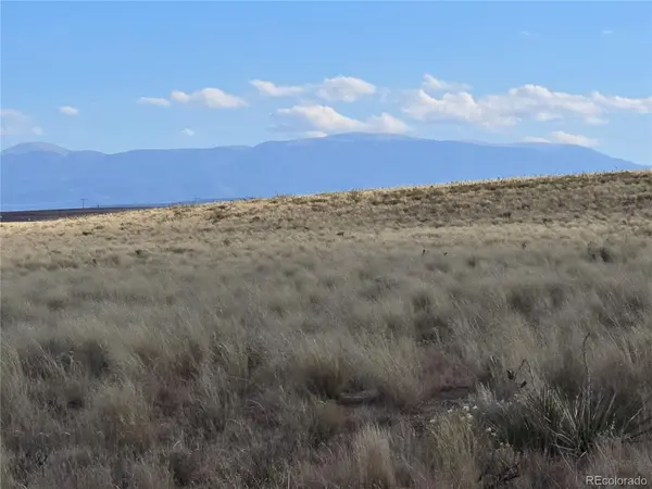 Lot 8 31st Street, Blanca, CO 81123
