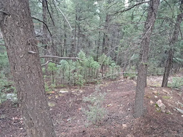 360 Hi Meadow DR, Bailey, CO 80421