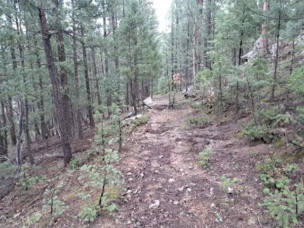 360 Hi Meadow DR, Bailey, CO 80421