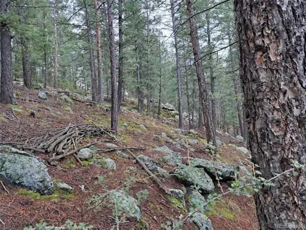 360 Hi Meadow DR, Bailey, CO 80421