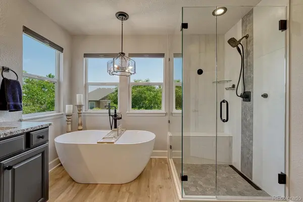 10744 Addison CT, Littleton, CO 80126