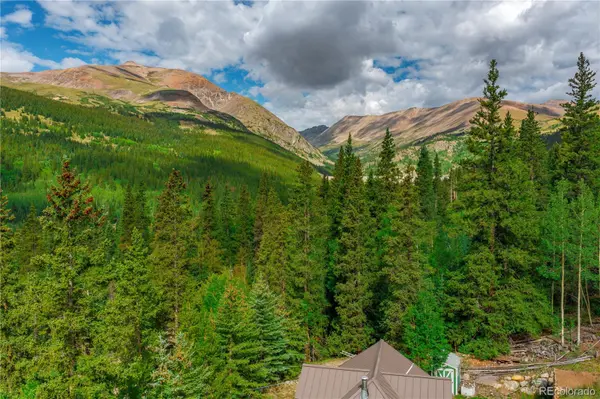420 Nuthatch DR, Alma, CO 80420