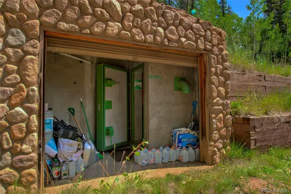420 Nuthatch DR, Alma, CO 80420