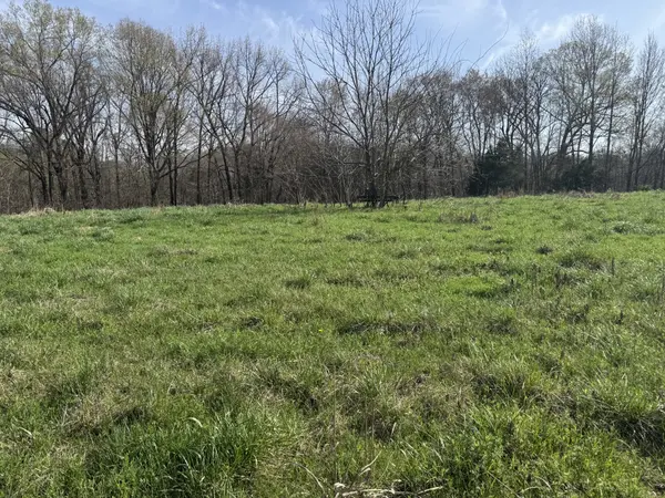 6080 Durhamville Rd, Ripley, TN 38063