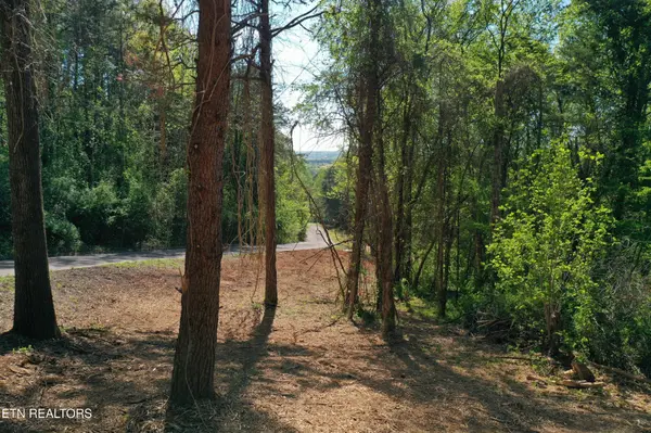 0 Elm Lane, Niota, TN 37826