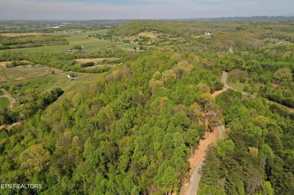 0 Elm Lane, Niota, TN 37826