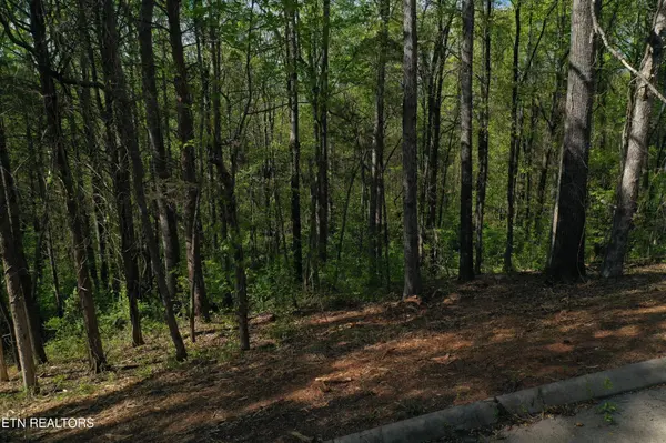 0 Elm Lane, Niota, TN 37826