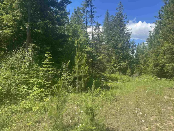 00 N Foster Ln, Cusick, WA 99180