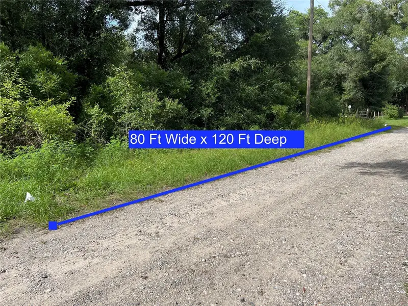 3677 E YANDLE PL, Inverness, FL 34453