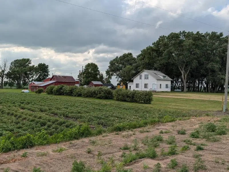 21509 600th AVE, Wells, MN 56097