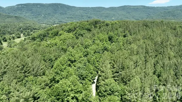 1194 Palmer RD, Mill Spring, NC 28756