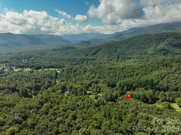 195 Banjo Branch RD, Burnsville, NC 28714